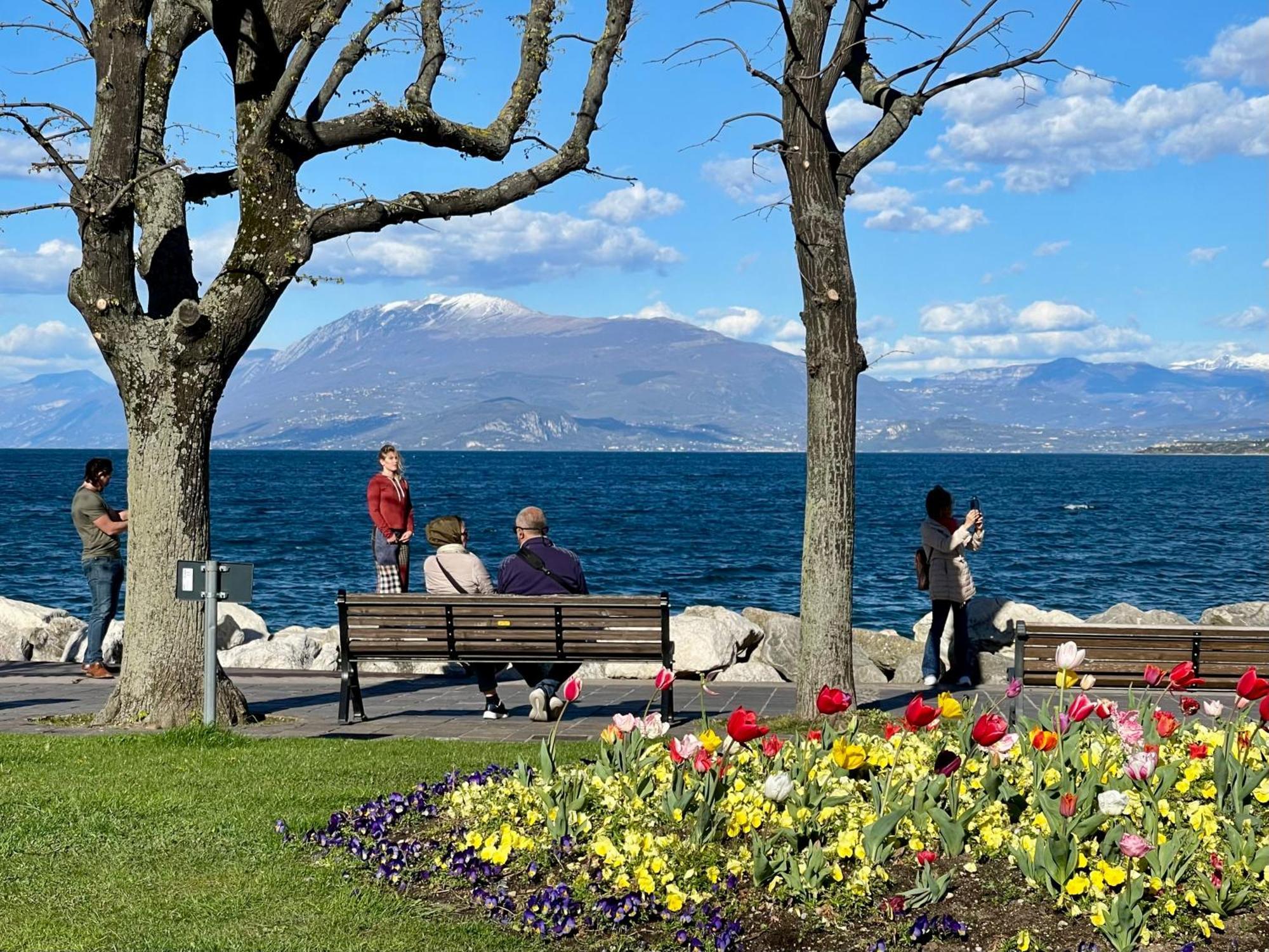 Nido Tra Castello E Hébergement de vacances Desenzano del Garda